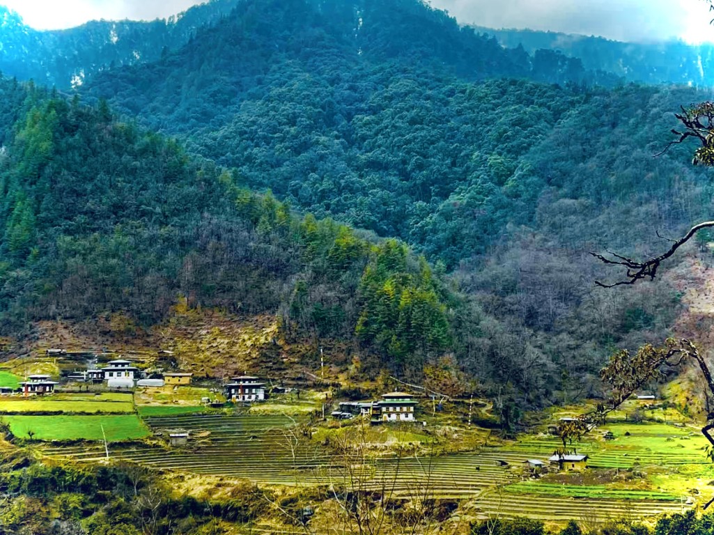 Fly to Mangdiphu Trongsa (2,133m / 7000ft) : Ancestral home of the Royal Physician